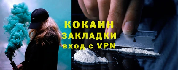 стаф Алзамай