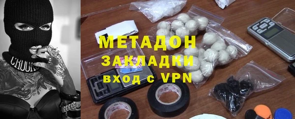 стаф Алзамай