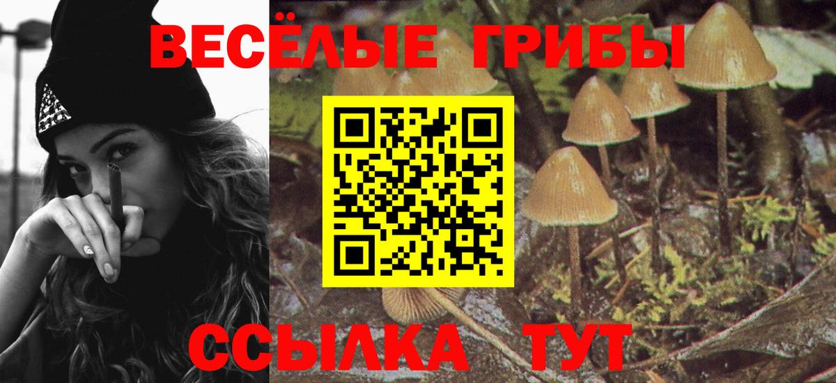 Галлюциногенные грибы GOLDEN TEACHER  Вход с VPN  Усть-Кут  Галлюциногенные грибы Cubensis 